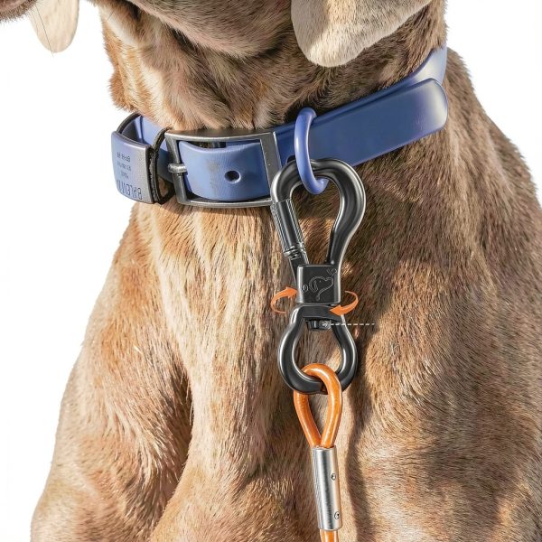 XiaZ Dog Tie Out Stainless Steel Cable Reflective Pet Safety-2