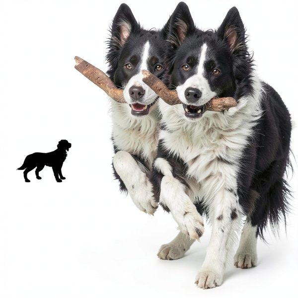 HaiYUAN Dog Tie Out Cable Steel PVC Coated Heavy Duty-5