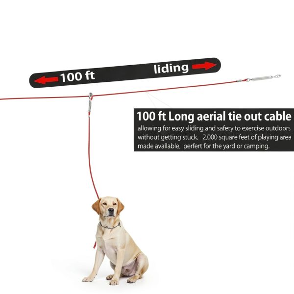 Pestairs Dog Trolley System Heavy Duty Two Dog Tie Out-5