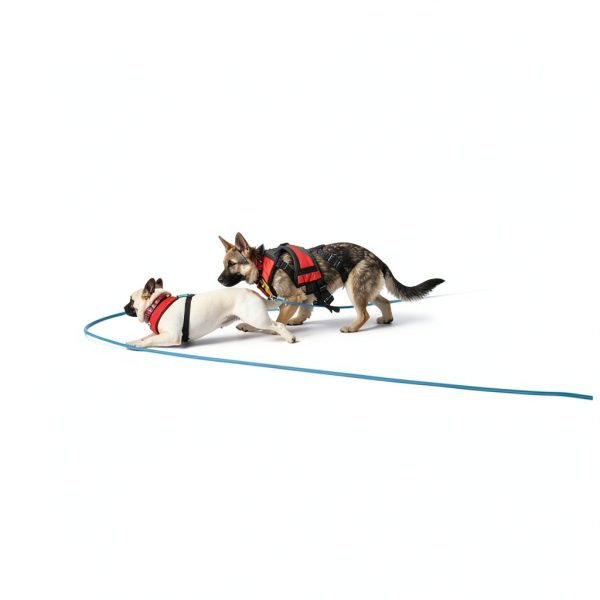 YUCFOREN Nylon Dog Tie Out Leash Heavy Duty Training Lead-6