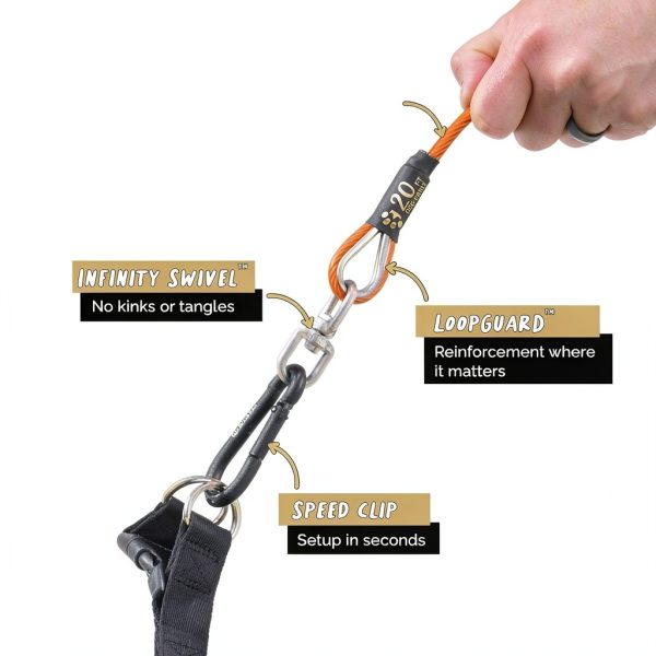 Royal Paw Dog Tie Out Cable Heavy Duty Stainless Steel Pet-1