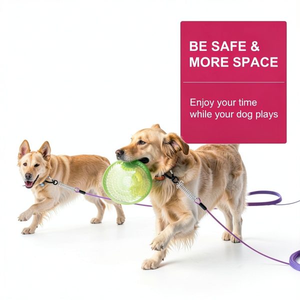Snagle Paw Dog Tie Out Cable Secure Hook Rotating Design-6