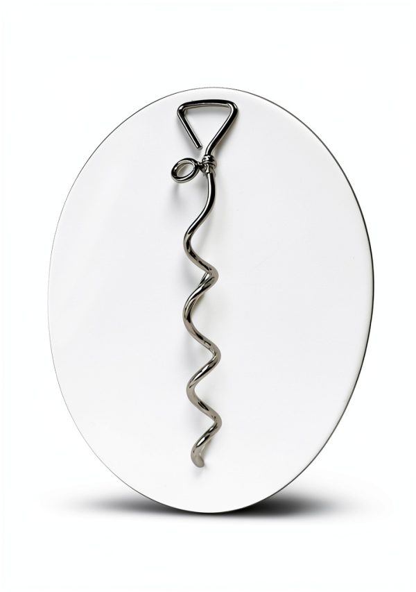 WePet Spiral Dog Stake Steel Tie Out for Large Dogs-5