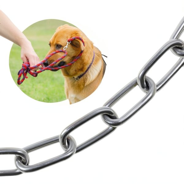 Snagle Paw Heavy Duty Dog Chain Leash Rust Proof Tether-2
