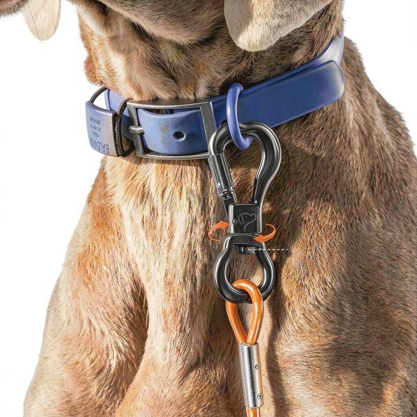 XiaZ Dog Tie Out Stainless Steel Cable Reflective Heavy Duty-2