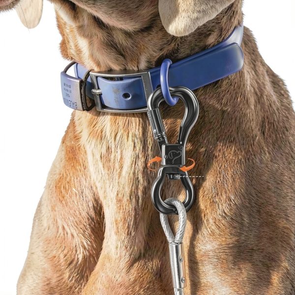 XiaZ Heavy Duty Dog Tie Out Stainless Steel Cable Reflective-2