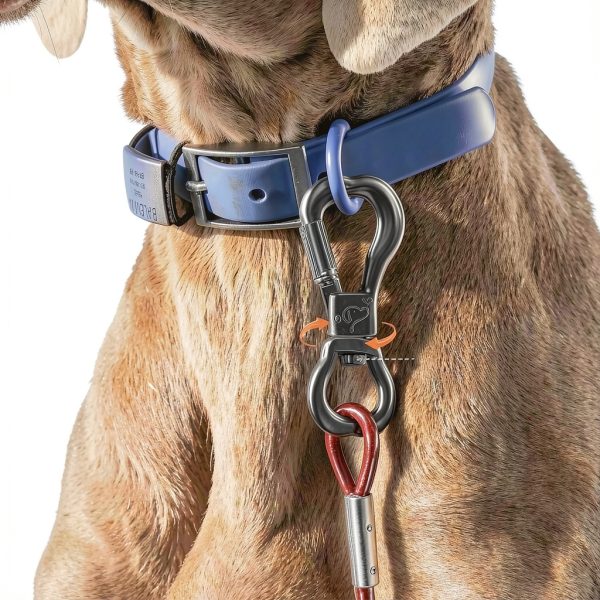 XiaZ Dog Tie Out Cable Heavy Duty Stainless Steel Reflective-2
