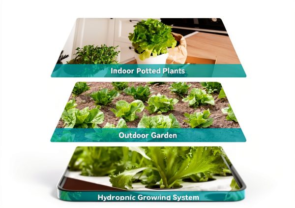 Lykoclean Hydroponic Seed Pod Kit 12 Pods Mixed Colors Organic Flowers-6