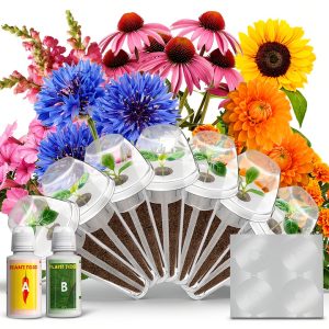 Lykoclean Hydroponic Seed Pod Kit 12 Pods Mixed Colors Organic Flowers-0