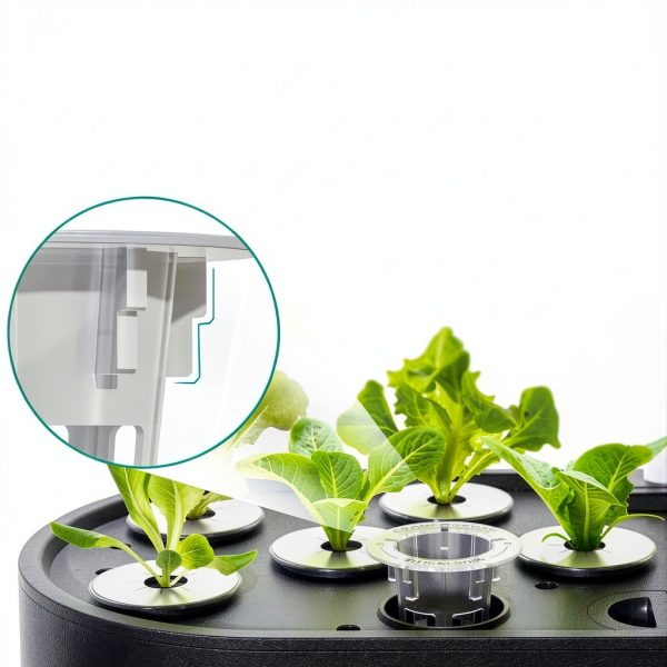 Lykoclean Hydroponic Seed Pod Kit 12 Pods Mixed Colors Organic Flowers-4
